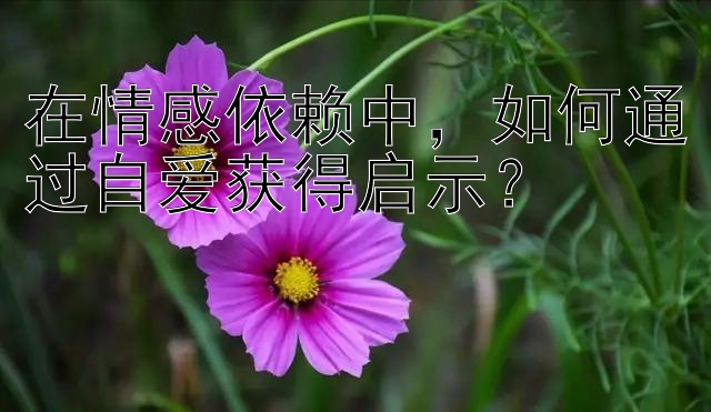 在情感依赖中，如何通过自爱获得启示？