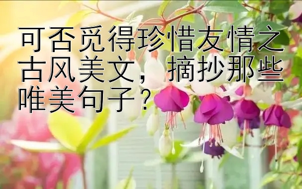 可否觅得珍惜友情之古风美文，摘抄那些唯美句子？