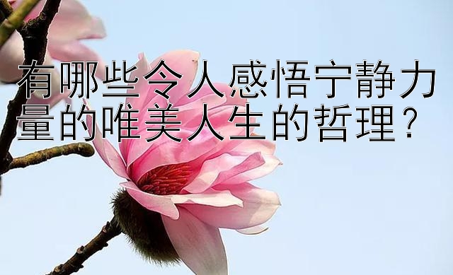 有哪些令人感悟宁静力量的唯美人生的哲理？