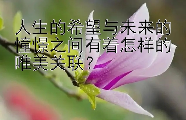 人生的希望与未来的憧憬之间有着怎样的唯美关联？