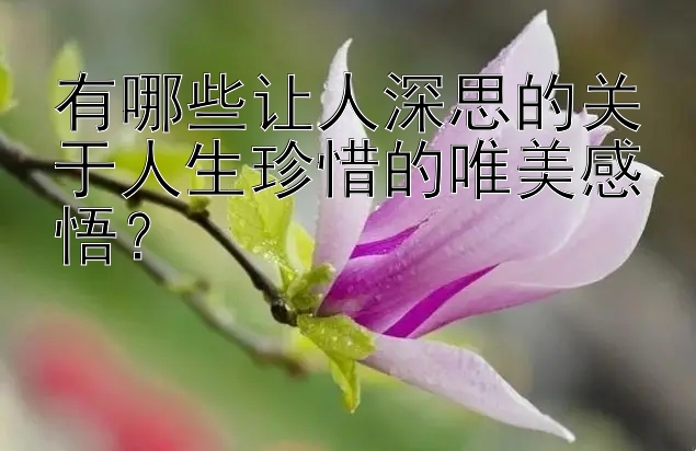 有哪些让人深思的关于人生珍惜的唯美感悟？