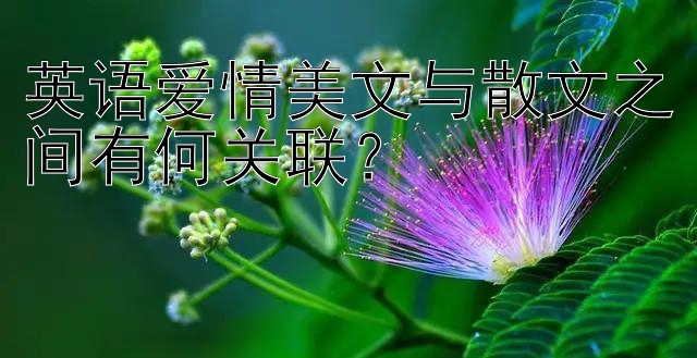 英语爱情美文与散文之间有何关联？