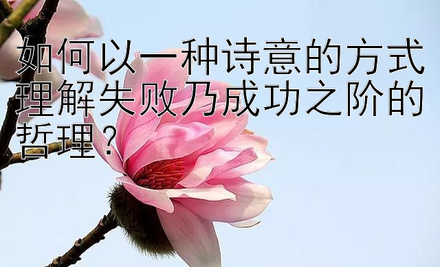 如何以一种诗意的方式理解失败乃成功之阶的哲理？