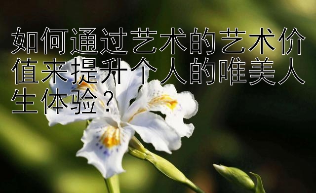 如何通过艺术的艺术价值来提升个人的唯美人生体验？