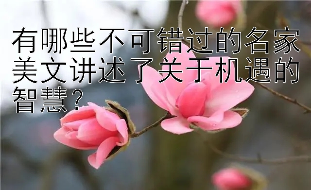 有哪些不可错过的名家美文讲述了关于机遇的智慧？