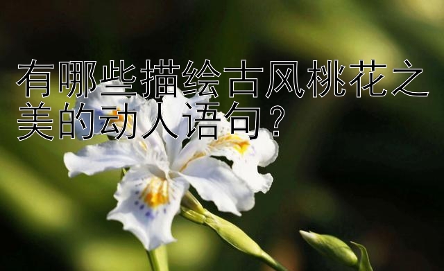 有哪些描绘古风桃花之美的动人语句？