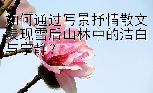 如何通过写景抒情散文表现雪后山林中的洁白与宁静？