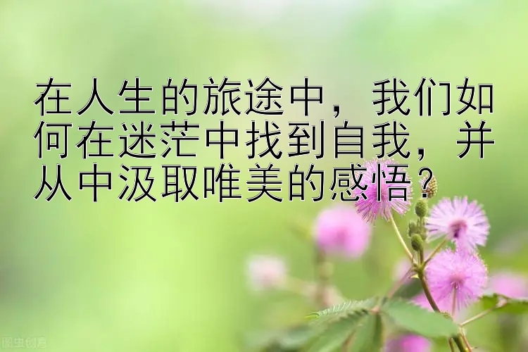 在人生的旅途中，我们如何在迷茫中找到自我，并从中汲取唯美的感悟？