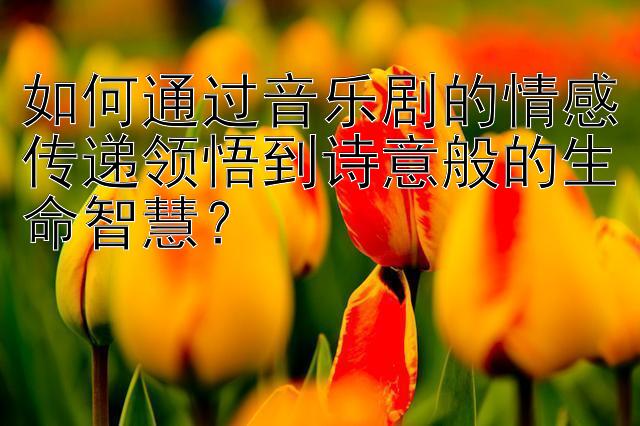 如何通过音乐剧的情感传递领悟到诗意般的生命智慧？