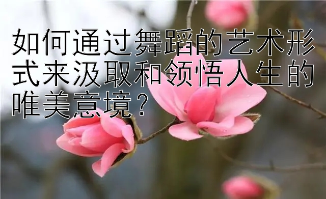 如何通过舞蹈的艺术形式来汲取和领悟人生的唯美意境？