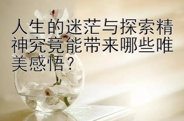 人生的迷茫与探索精神究竟能带来哪些唯美感悟？