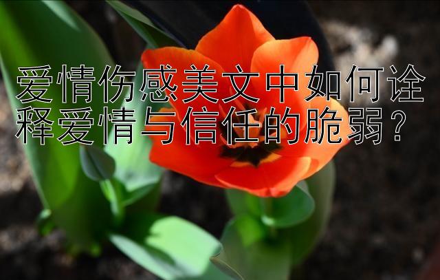 爱情伤感美文中如何诠释爱情与信任的脆弱？