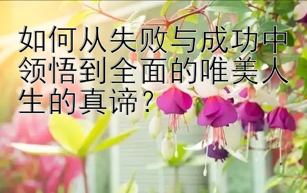 如何从失败与成功中领悟到全面的唯美人生的真谛？