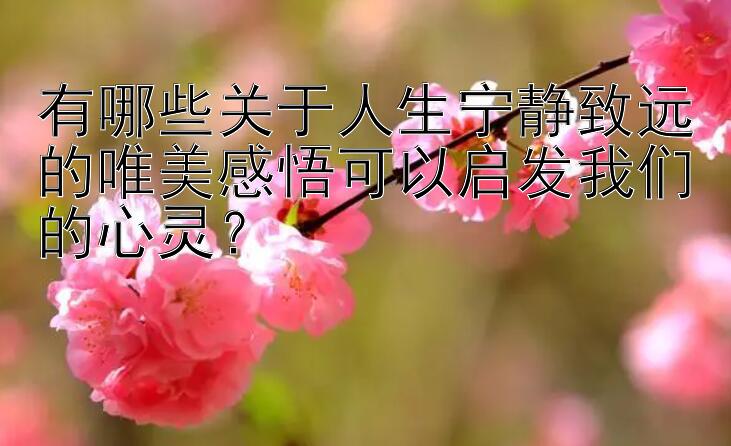 有哪些关于人生宁静致远的唯美感悟可以启发我们的心灵？