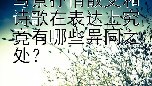 写景抒情散文和诗歌在表达上究竟有哪些异同之处？