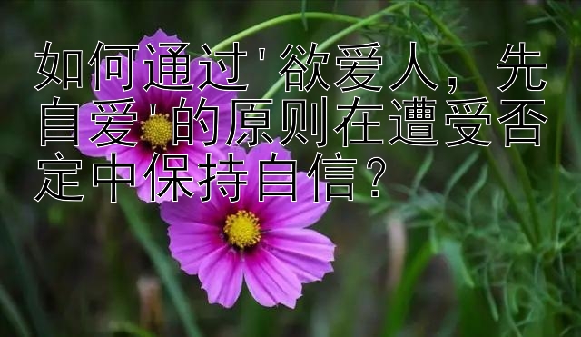 如何通过'欲爱人，先自爱'的原则在遭受否定中保持自信？