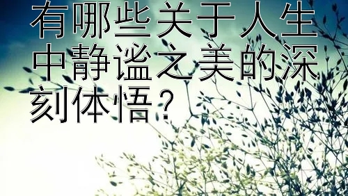 有哪些关于人生中静谧之美的深刻体悟？