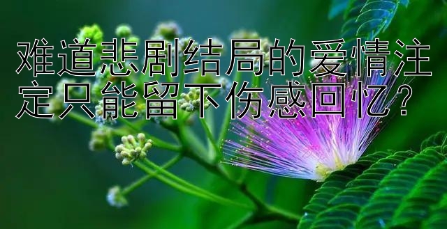 难道悲剧结局的爱情注定只能留下伤感回忆？