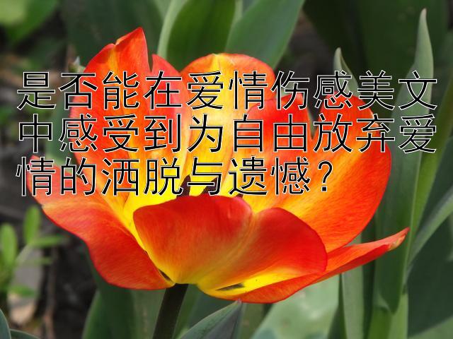 是否能在爱情伤感美文中感受到为自由放弃爱情的洒脱与遗憾？