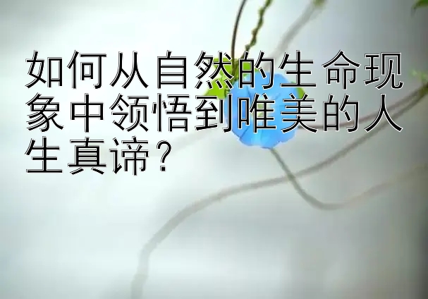 如何从自然的生命现象中领悟到唯美的人生真谛？